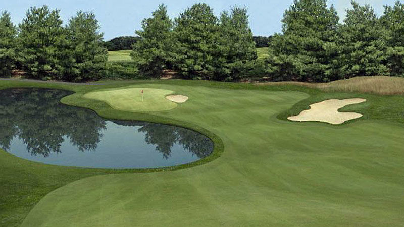watersedge_no6.jpg